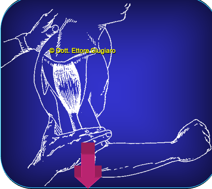 CORSO TEORICO PRATICO:  KINESIOLOGIA DIAGNOSTICA PER ODONTOIATRI